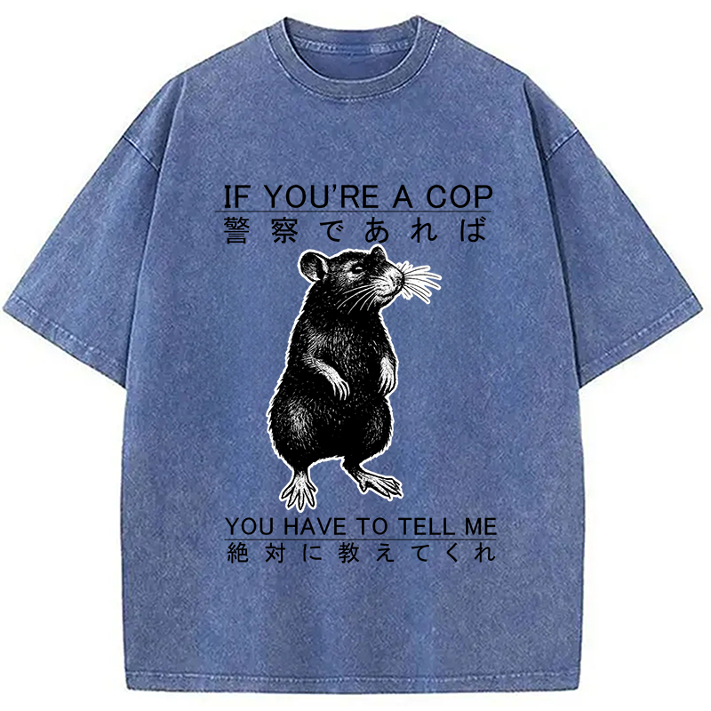 bbb If You're A Cop Japanese Rat Washed T-Shirt