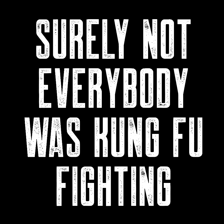 Surely Not everybody was kung fu fighting  T-Shirt