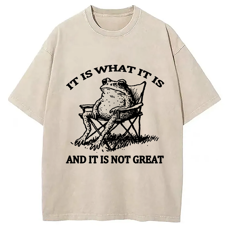 bbb Resting Frog Funny Washed T-Shirt