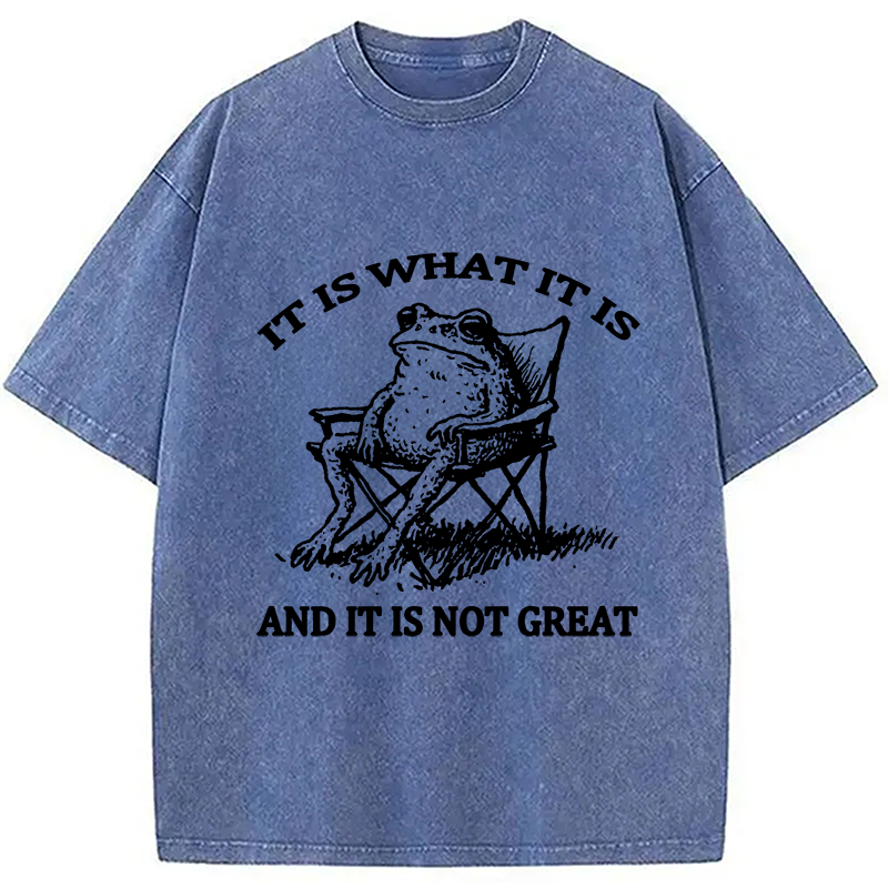 bbb Resting Frog Funny Washed T-Shirt
