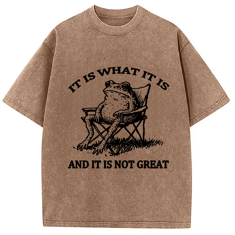 bbb Resting Frog Funny Washed T-Shirt
