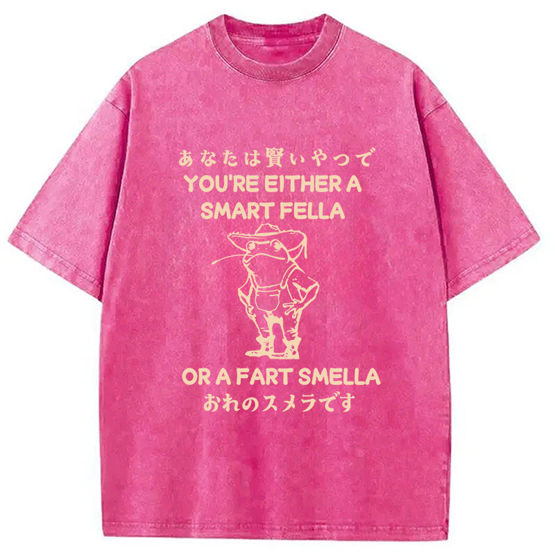 bbb Are You A Smart Fella Or Fart Smella Washed T-Shirt
