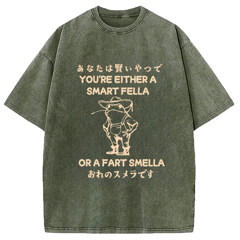 bbb Are You A Smart Fella Or Fart Smella Washed T-Shirt