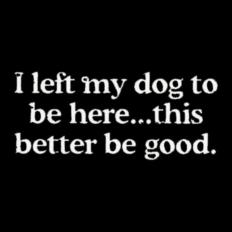 I Left My Dog Here This Better  T-Shirt