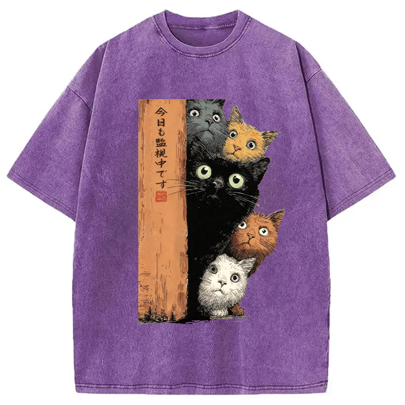 bbb Cats Are Watching You Washed T-Shirt