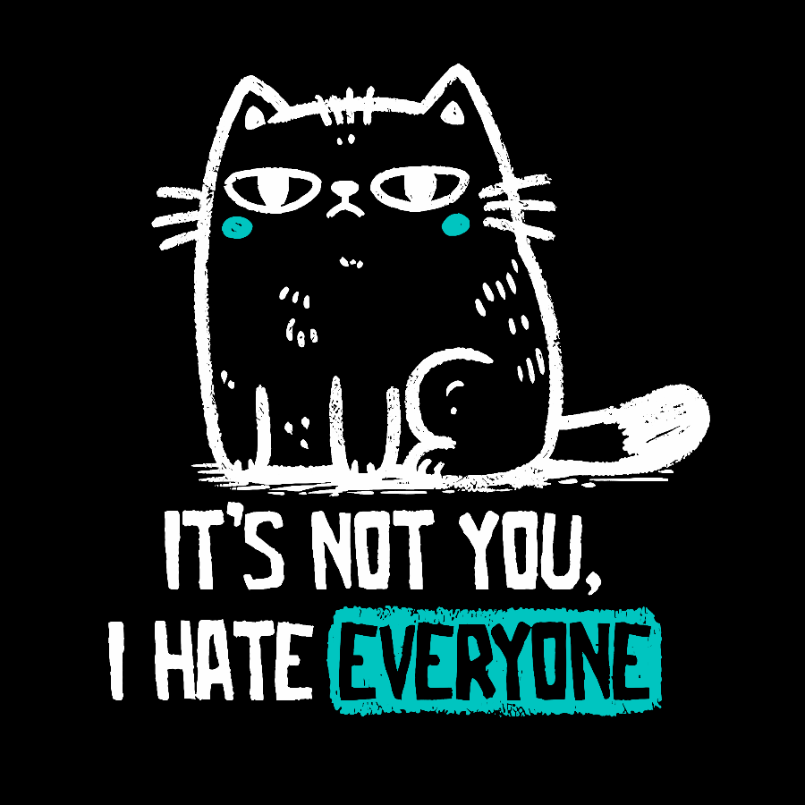 Its Not You I Hate Everyone  T-Shirt