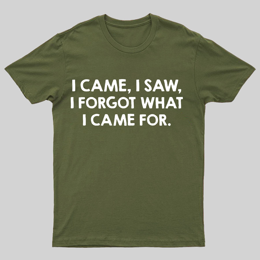 I Came and Saw Funny y T-Shirt