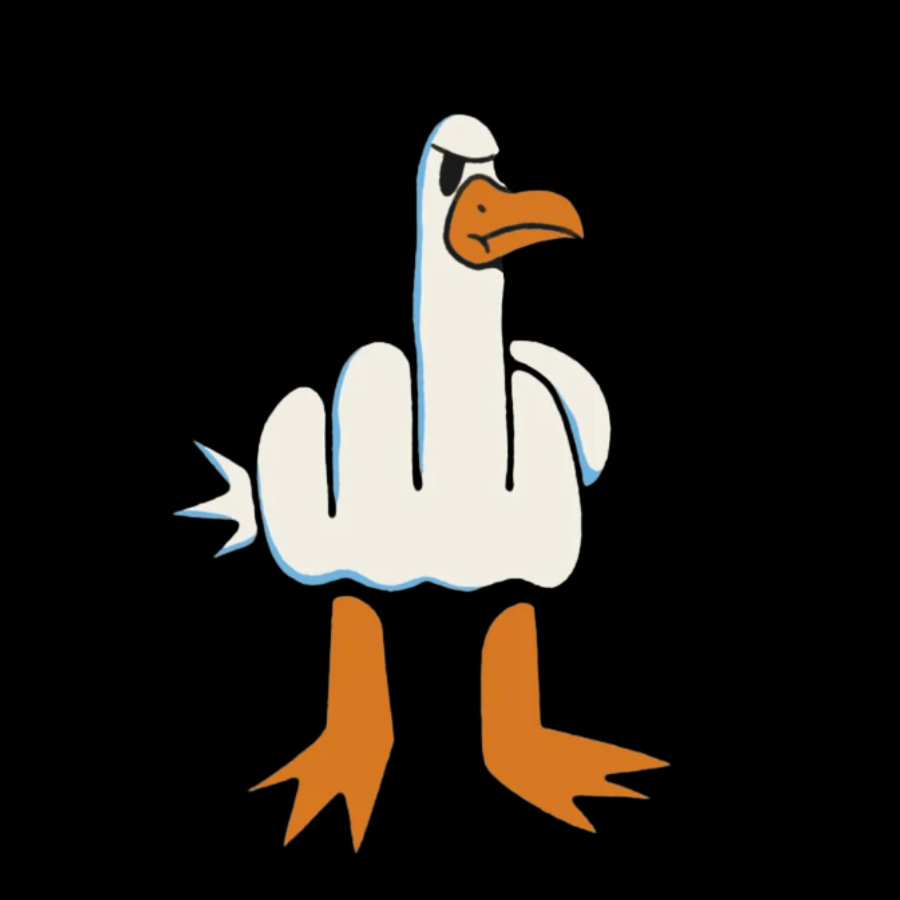Rude Seagull Design Funny y T-Shirt