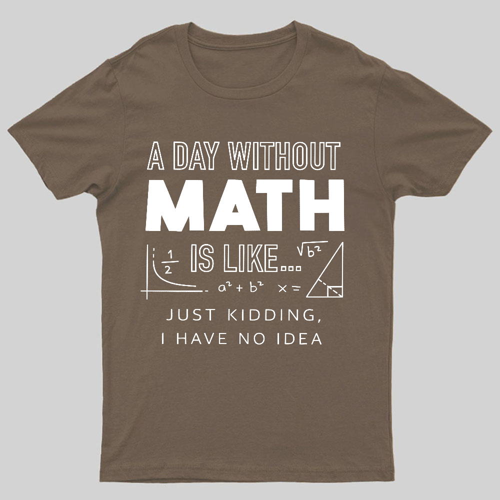 A Day Without Math Is Like y T-Shirt