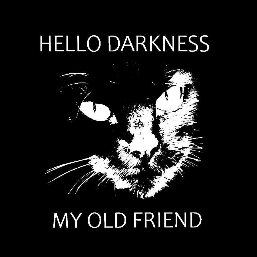 Hello Darkness My Old Friend y T-Shirt
