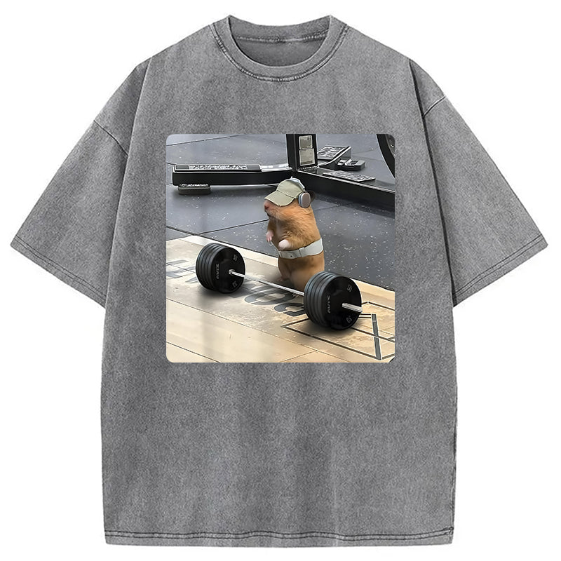 bbb Funny Cute Rat Weightlifting Meme Washed T-Shirt