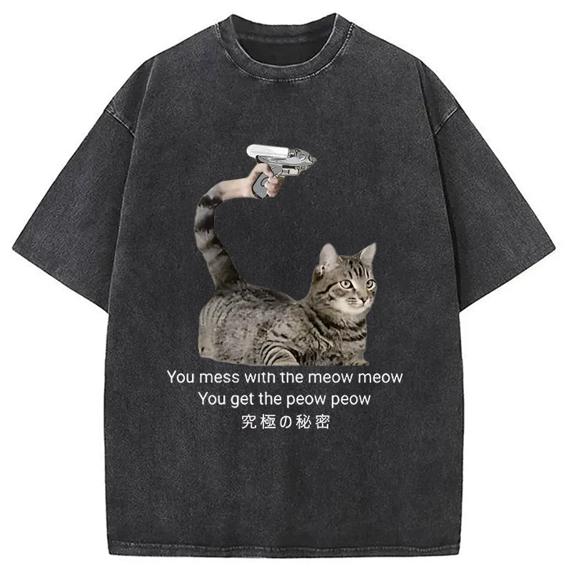 bbb Cat's Secret Weapon Washed T-Shirt