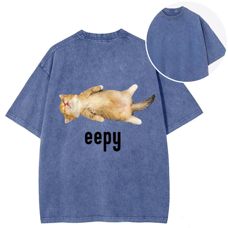 bbb Silly Sleepy Cat Meme Back Washed T-Shirt