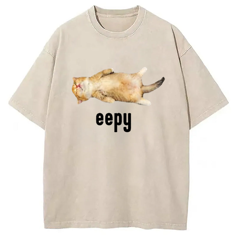 bbb Silly Sleepy Cat Meme Washed T-Shirt