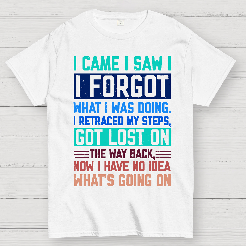 I Came I Saw I Forgot What I Was Doing Sarcastic  T-Shirt