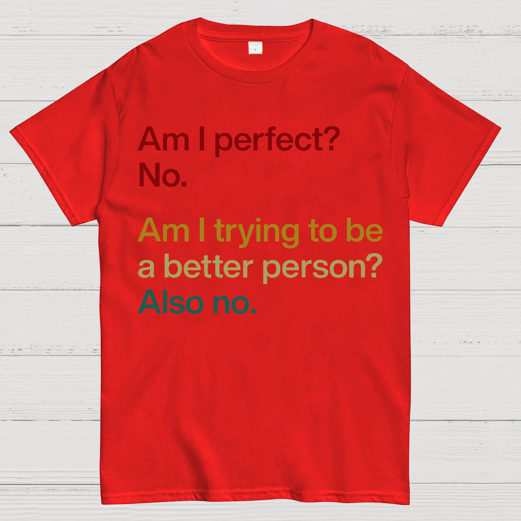 Am I Perfect ？No.  T-Shirt
