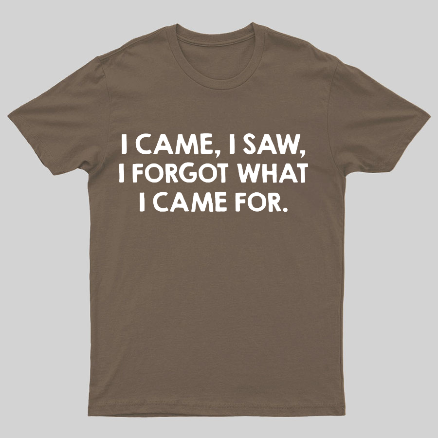 I Came and Saw Funny y T-Shirt