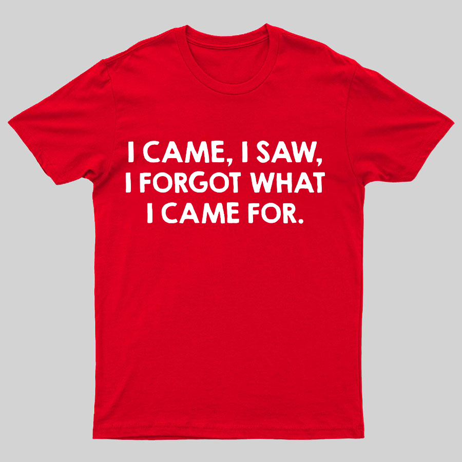 I Came and Saw Funny y T-Shirt