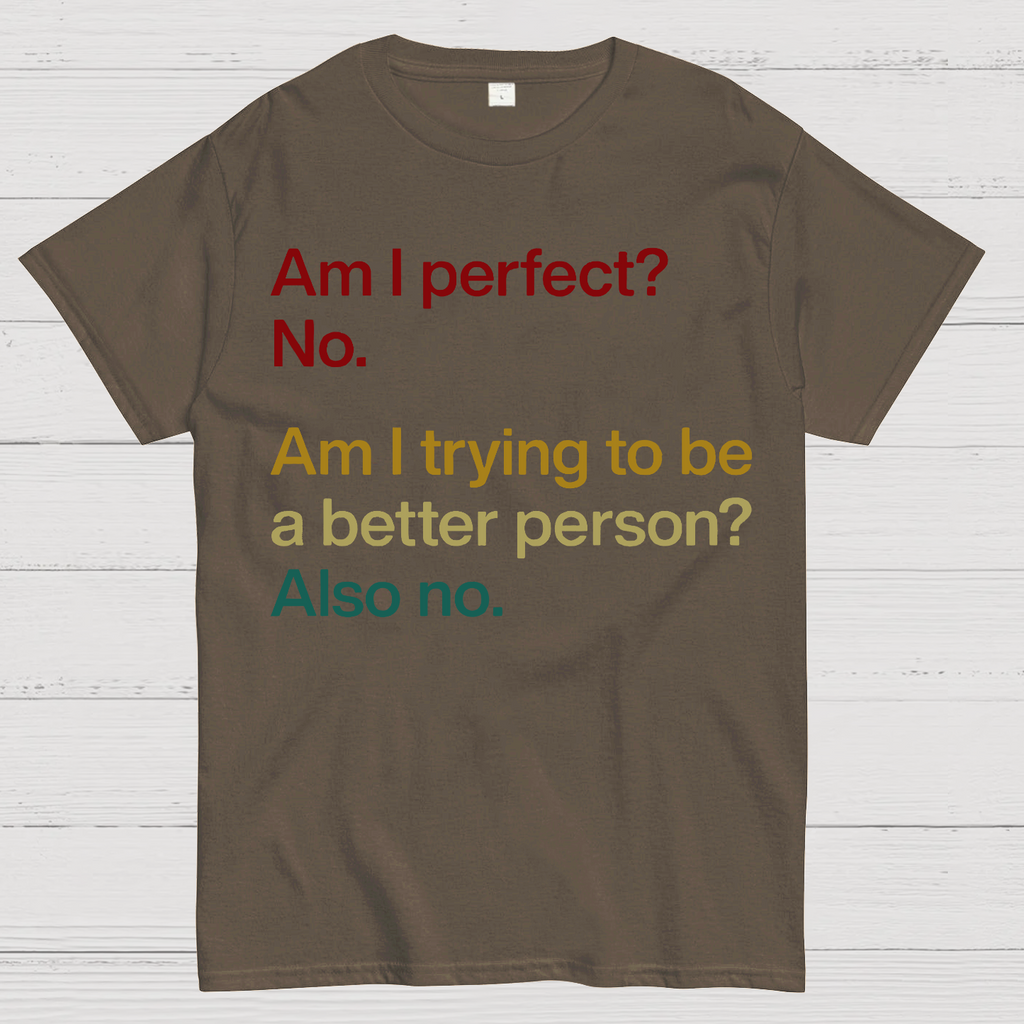 Am I Perfect ？No.  T-Shirt