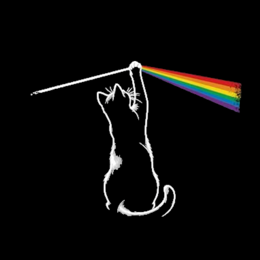 Funny Cat y T-Shirt