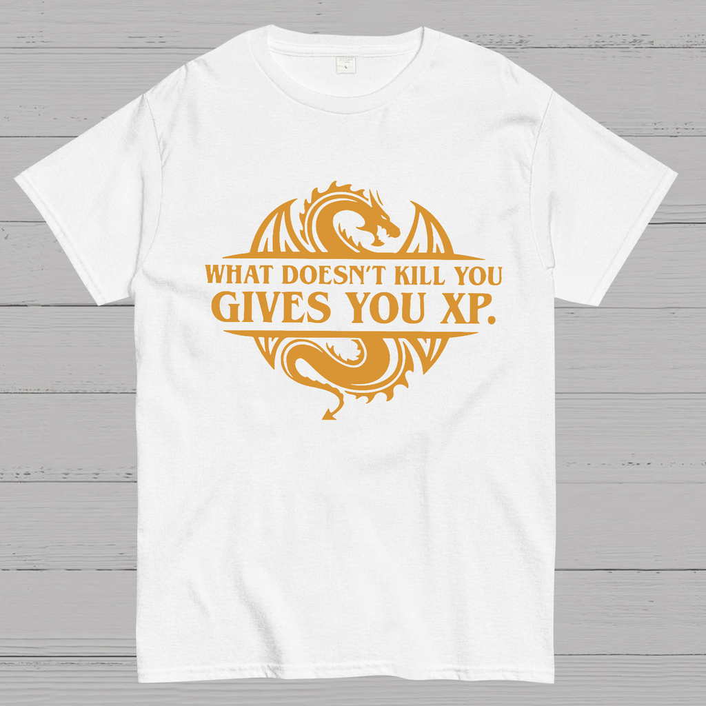 What Doesnt Kill You Give You Experience y T-Shirt