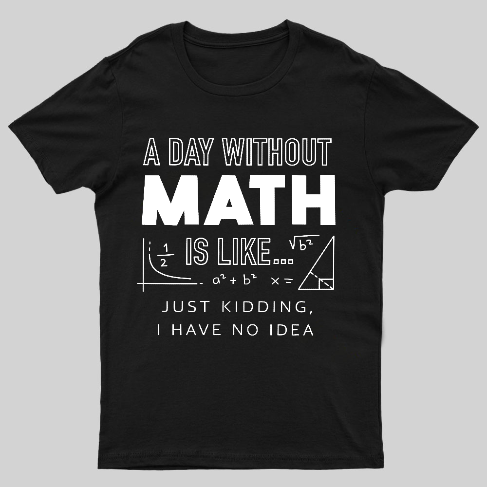 A Day Without Math Is Like y T-Shirt