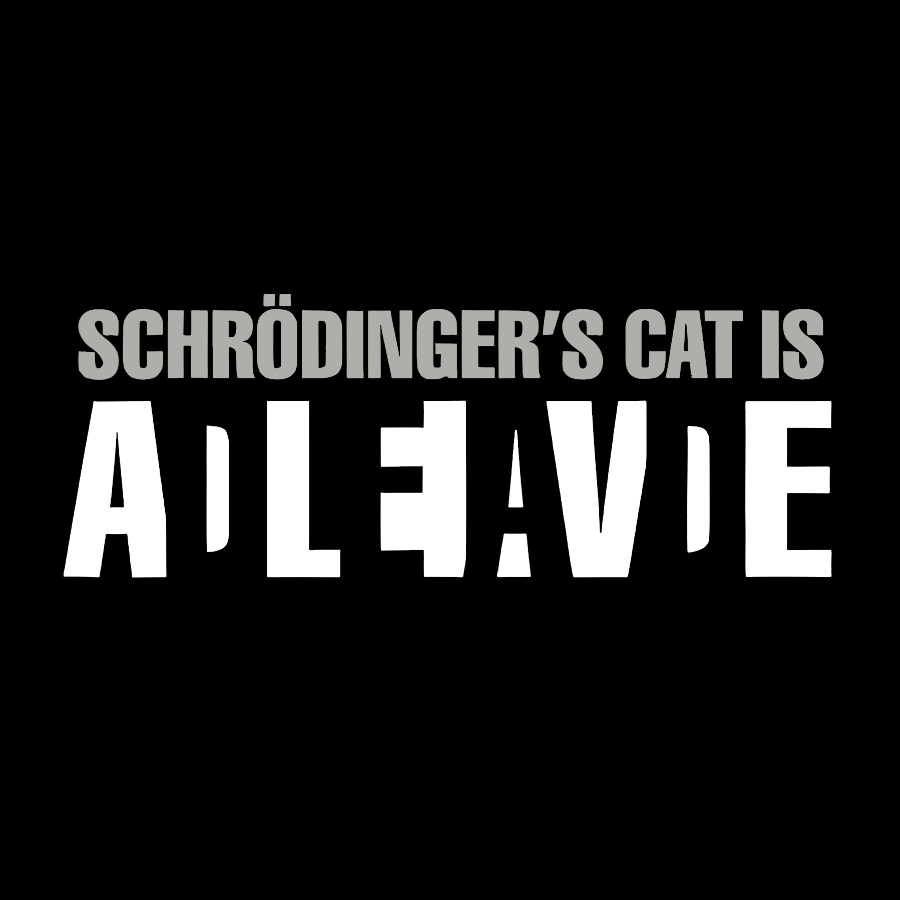 Schrodinger's Cat Is A Paradox  T-Shirt