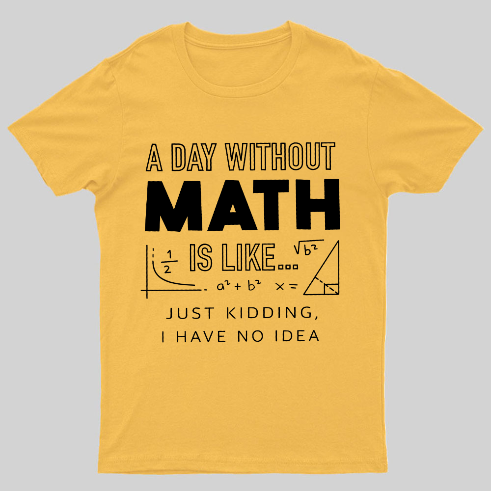 A Day Without Math Is Like y T-Shirt