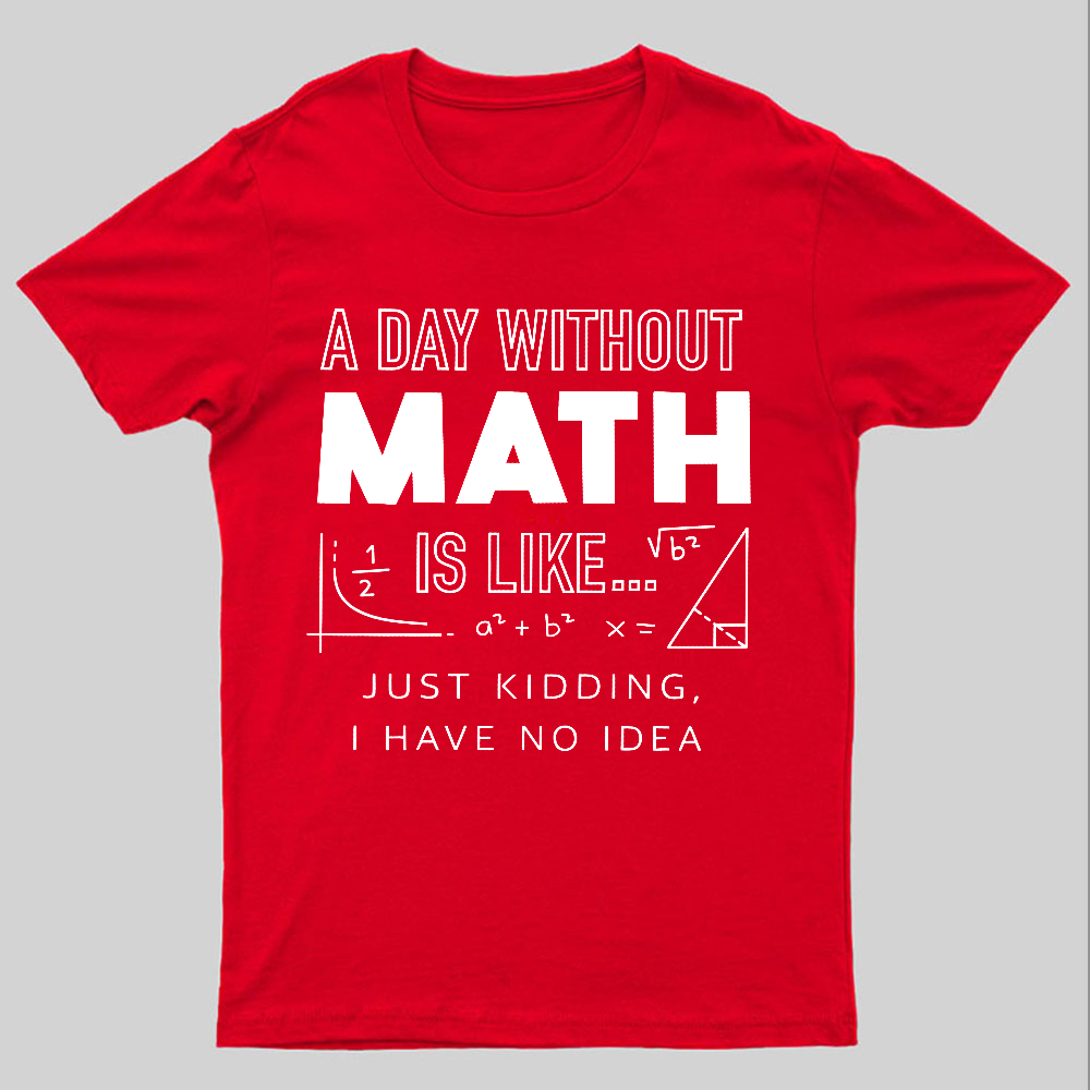 A Day Without Math Is Like y T-Shirt