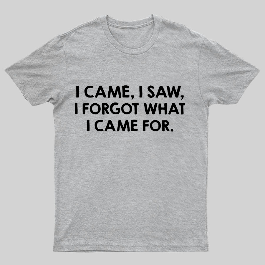 I Came and Saw Funny y T-Shirt