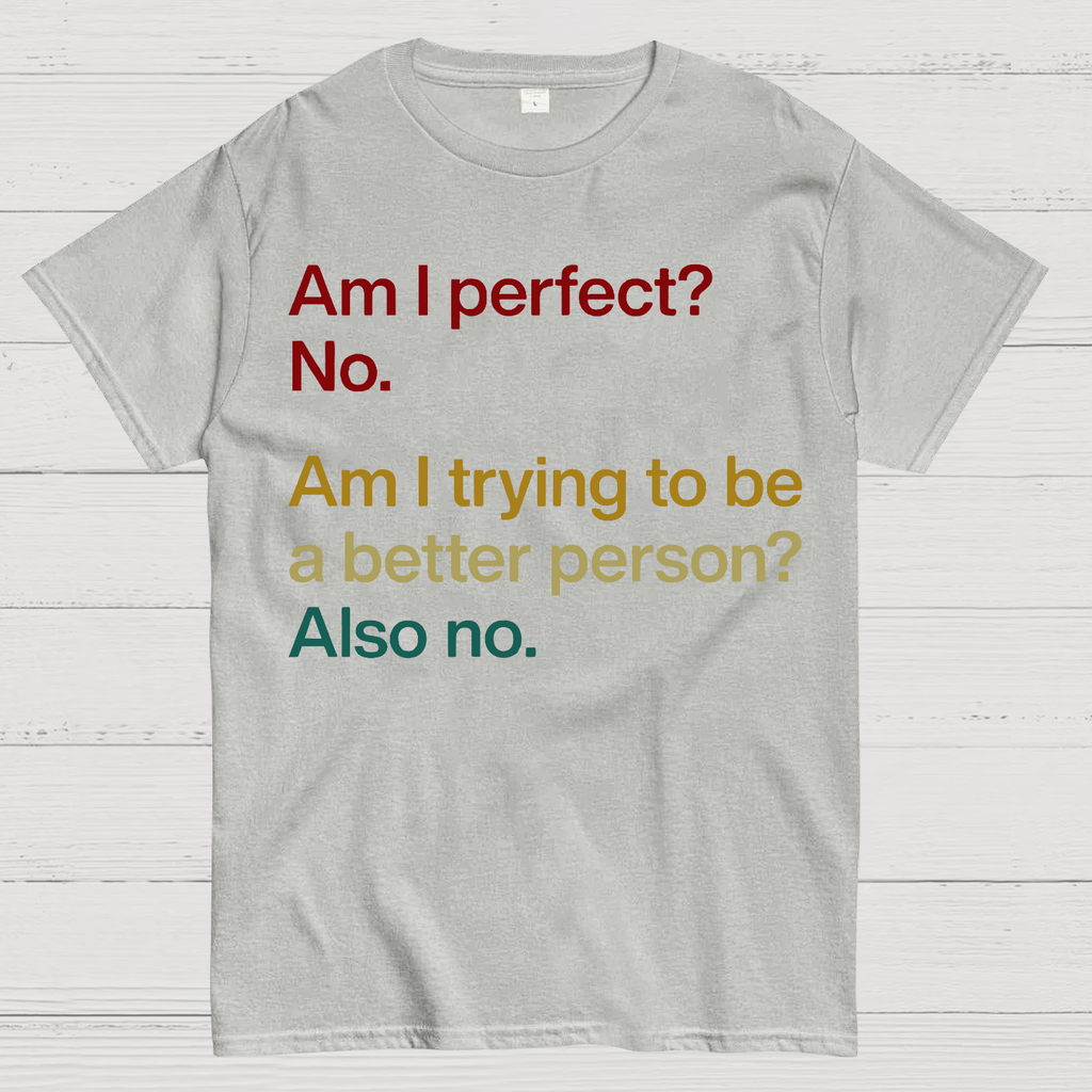 Am I Perfect ？No.  T-Shirt