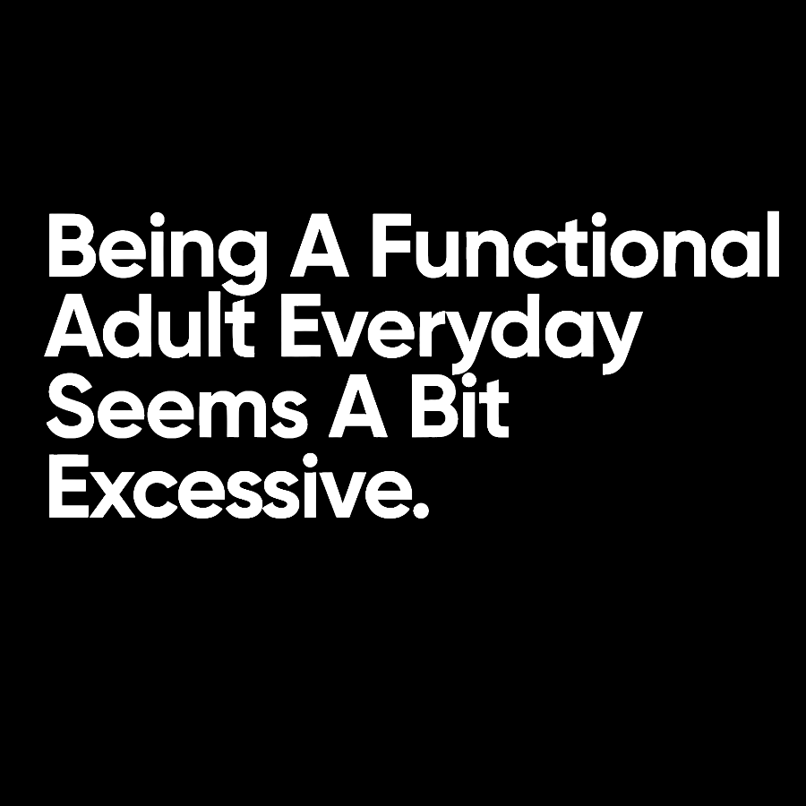 Being A Functional Adult Everyday Seems A Bit Excessive - Funny Quote  T-Shirt