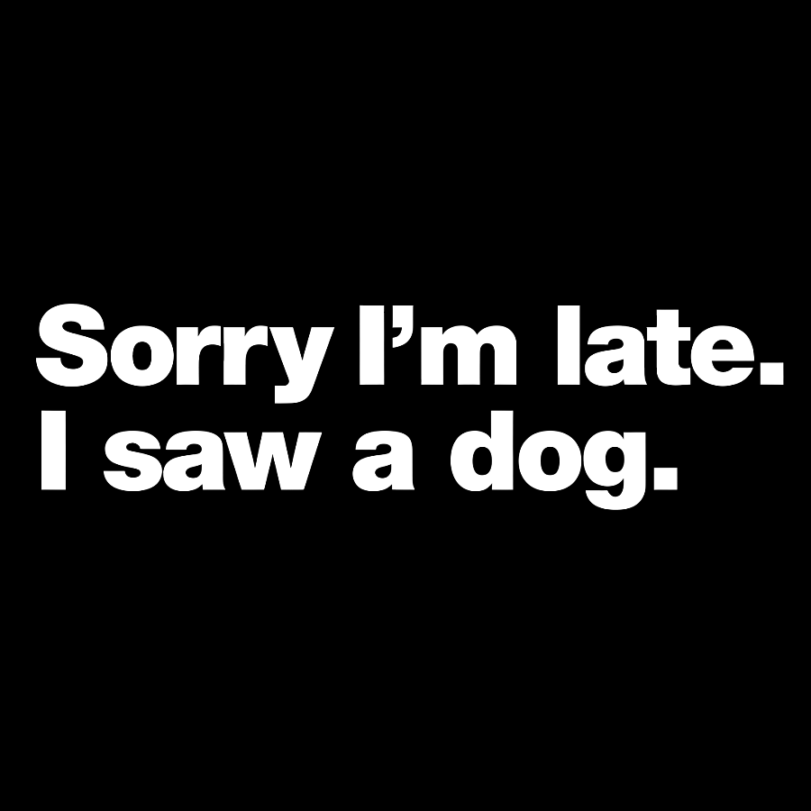 Sorry I'm Late. I Saw A Dog y T-Shirt