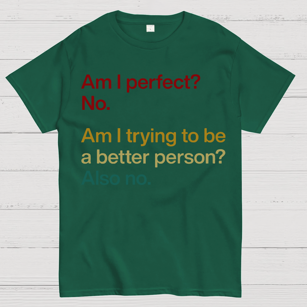 Am I Perfect ？No.  T-Shirt