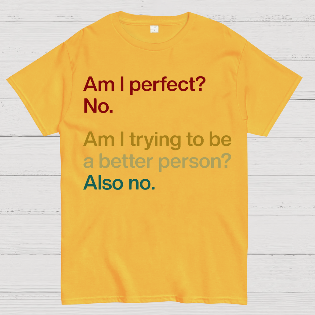 Am I Perfect ？No.  T-Shirt