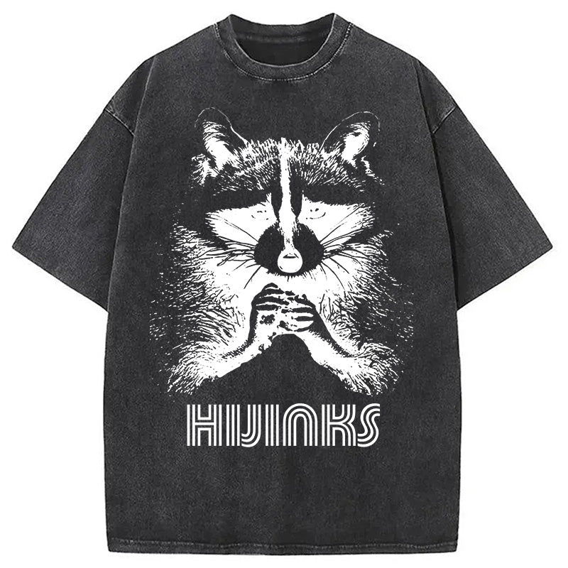 bbb Raccoon Hijinks Washed T-Shirt