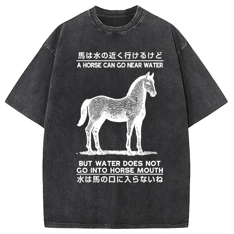 bbb Funny Horse And Water Saying Washed T-Shirt