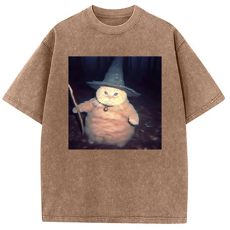 bbb Wizard Cat Funny Halloween Washed T-Shirt