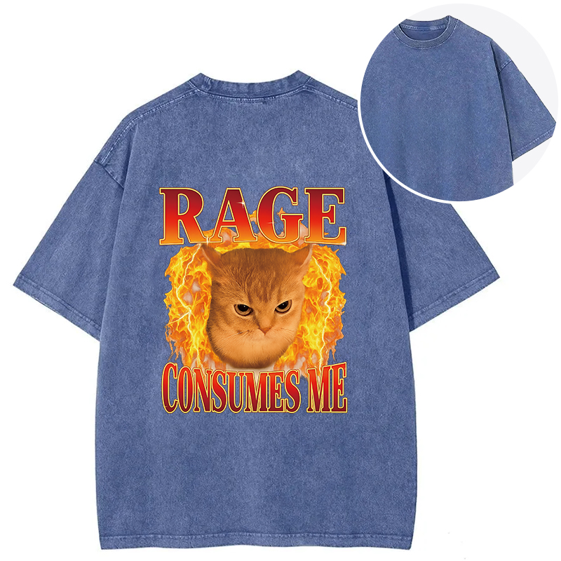 bbb Rage Consumes Me Edgy Funny Cat Meme Back Washed T-Shirt
