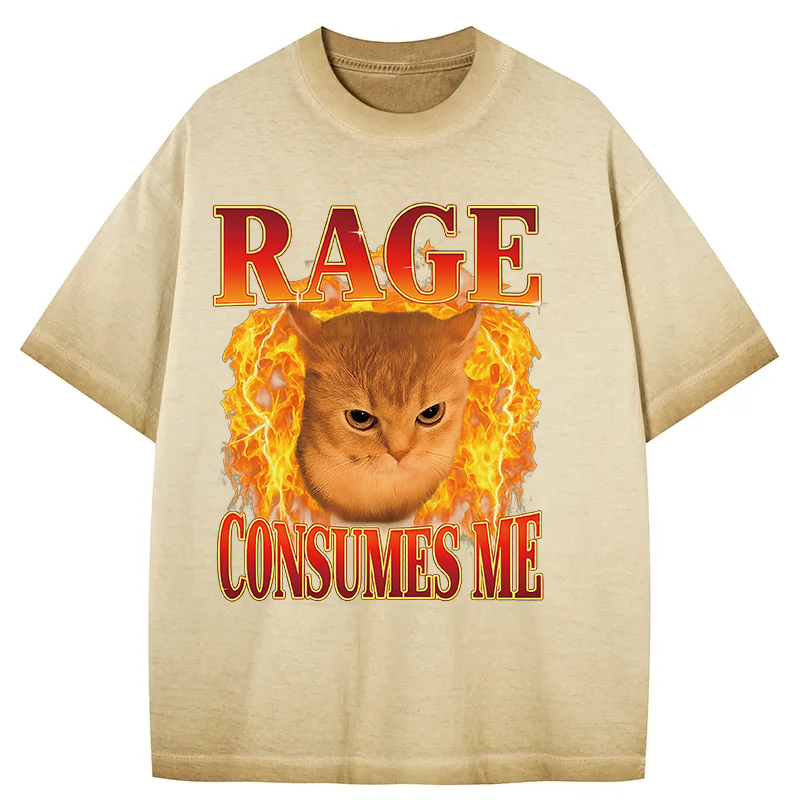 bbb Rage Consumes Me Edgy Funny Cat Meme Gradient Washed T-Shirt