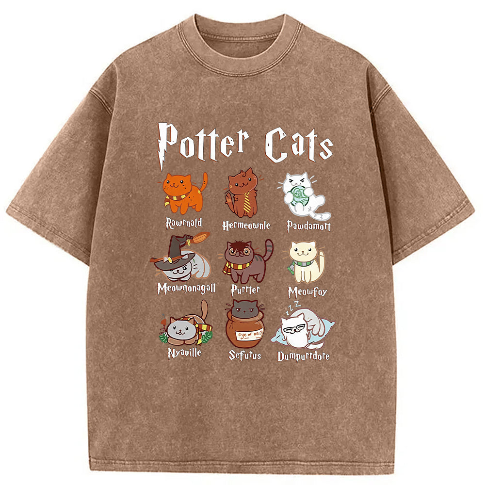 bbb Wizard Cats Washed T-Shirt