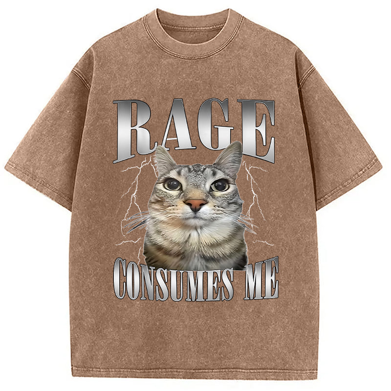 bbb Rage Consumes Me Funny Cat Washed T-Shirt