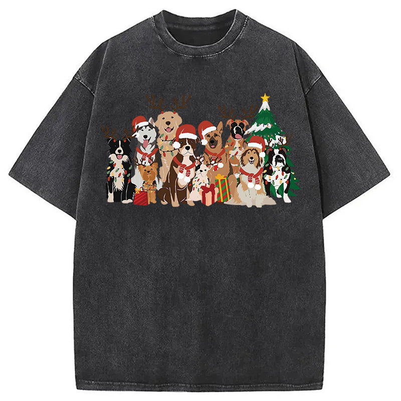 bbb Christmas Dogs Washed T-Shirt