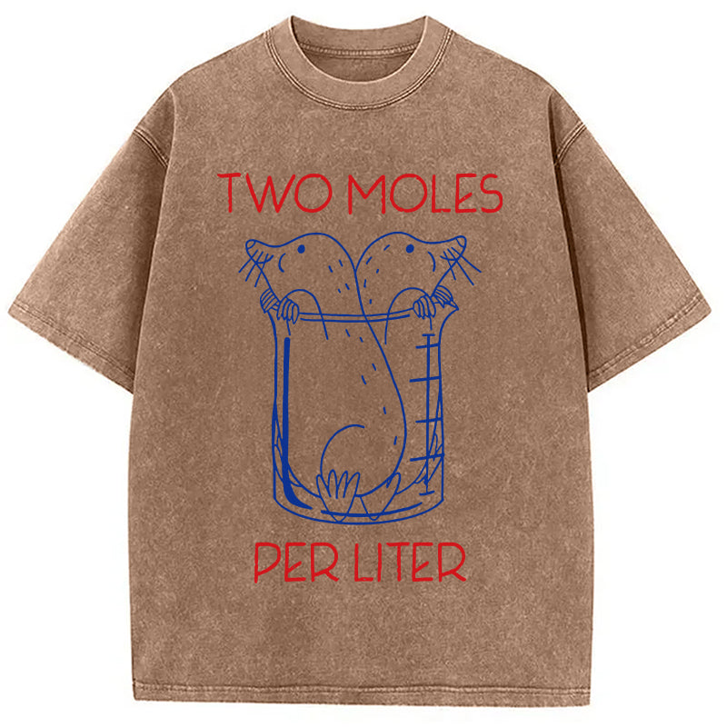 bbb Two Moles Per Liter Washed T-Shirt