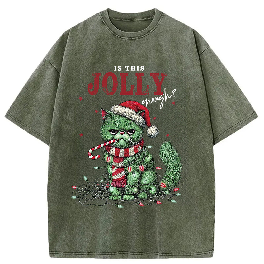 bbb Christmas Gift Washed T-Shirt