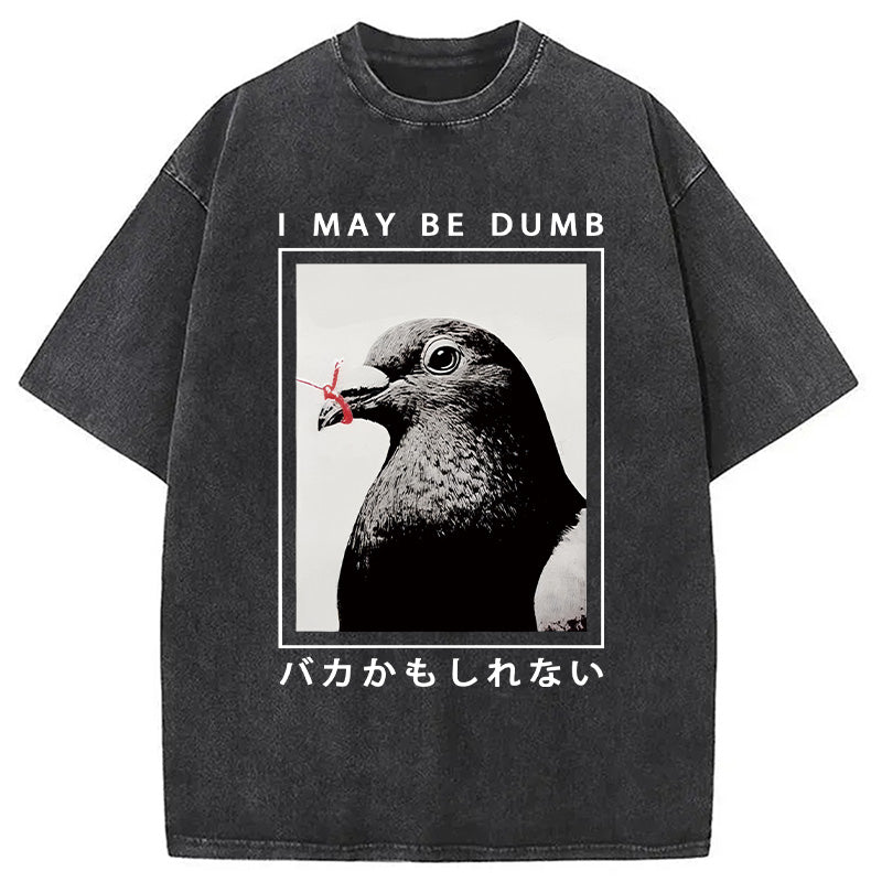 bbb I May Be Dumb Funny Washed T-Shirt