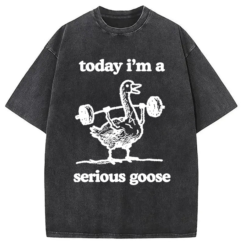 bbb Fitness Goose Washed T-Shirt