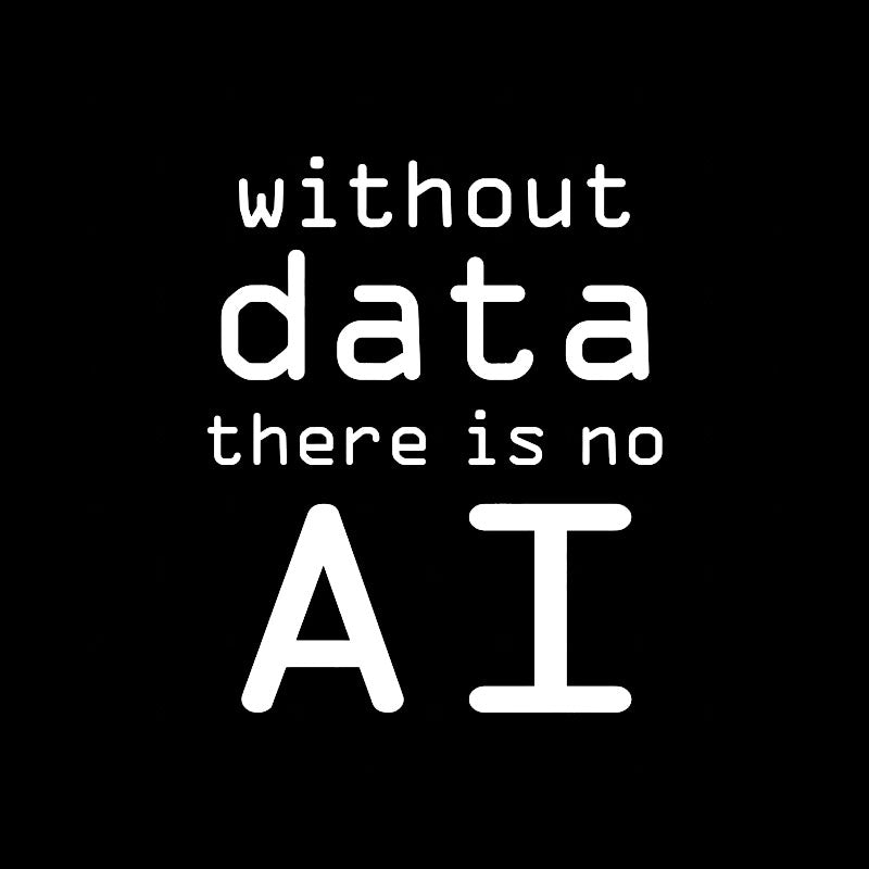 Without Data There Is No AI  T-Shirt