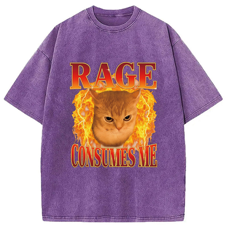 bbb Rage Consumes Me Edgy Funny Cat Meme Washed T-Shirt
