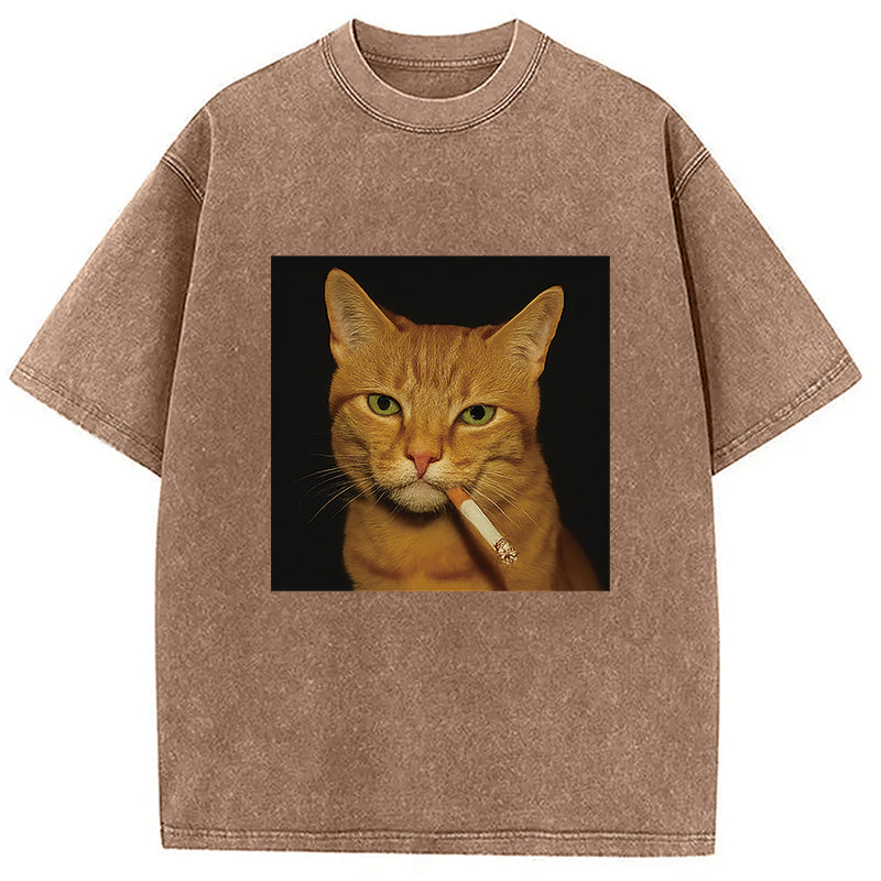 bbb Funny Orange Cat Smoking Meme Washed T-Shirt